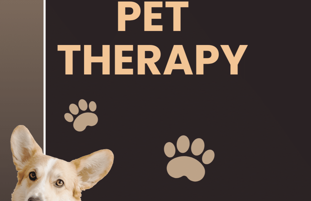 Pet Therapy